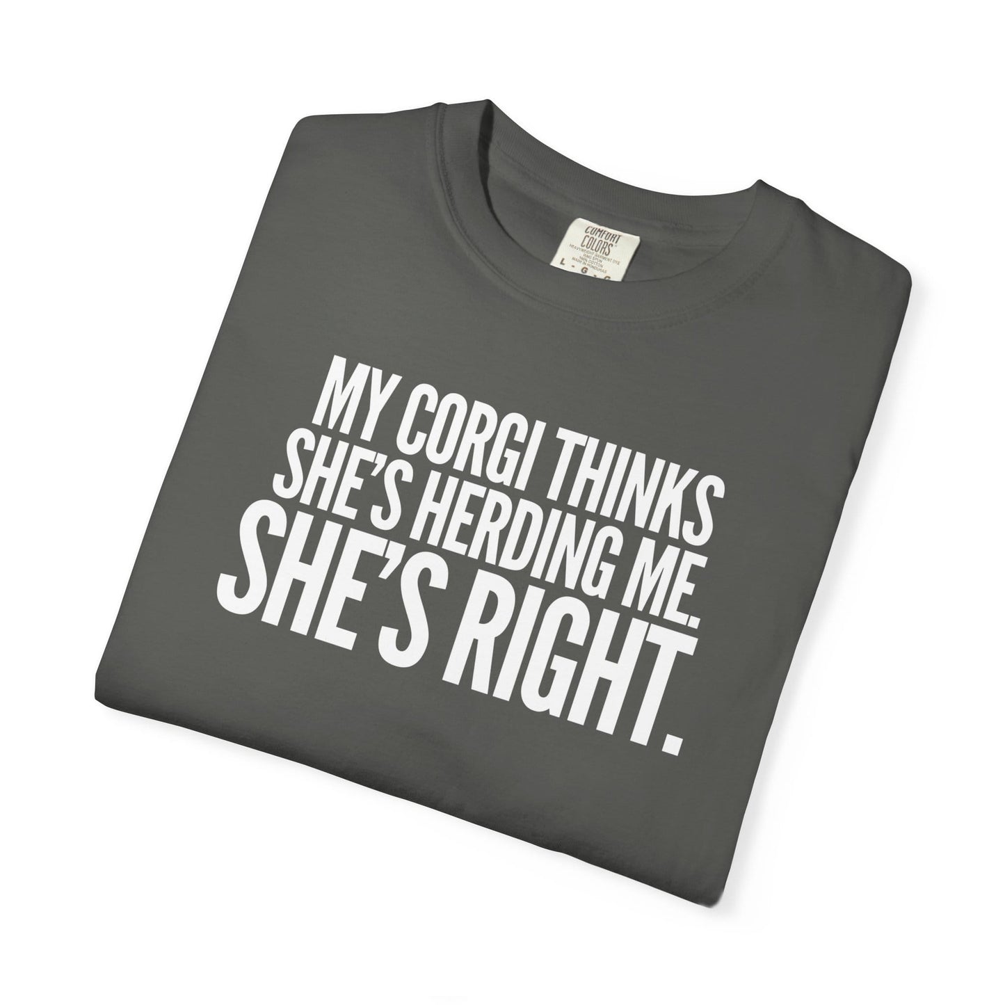 My Corgi Thinks She's Herding Me, She's Right T-Shirt