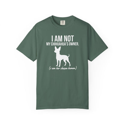 I Am Not My Chihuahua's Owner, I Am Her Chosen Human T-Shirt