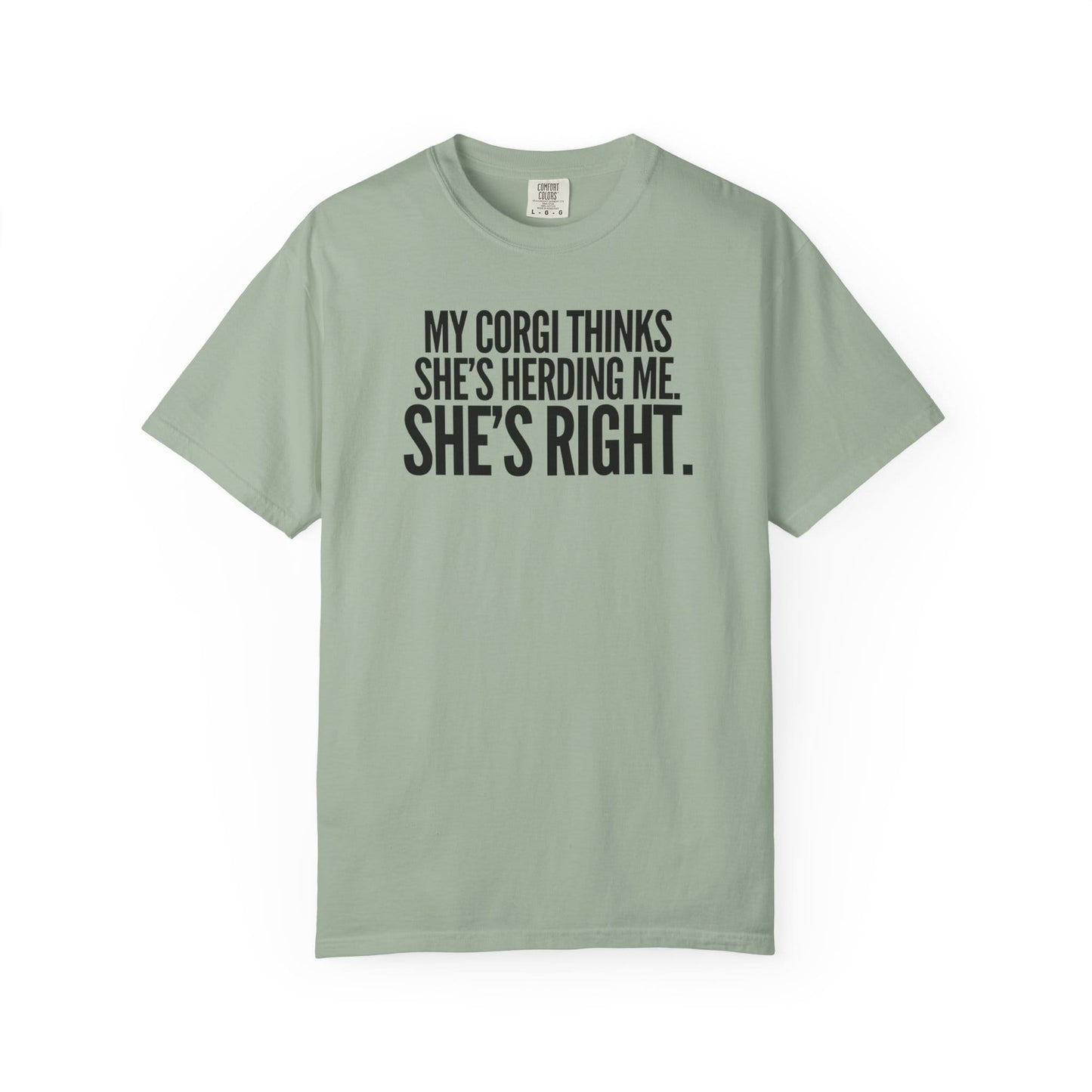My Corgi Thinks She's Herding Me, She's Right T-Shirt