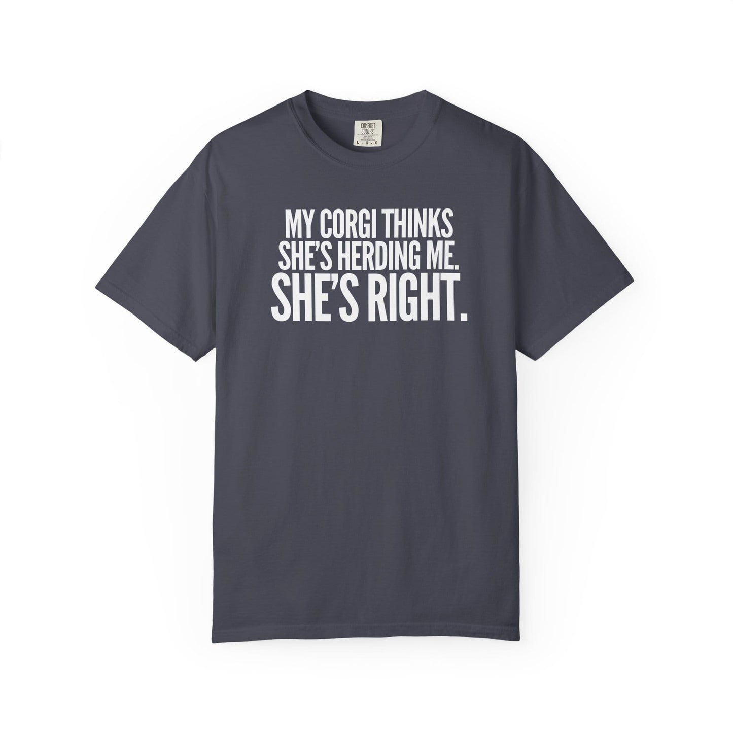 My Corgi Thinks She's Herding Me, She's Right T-Shirt