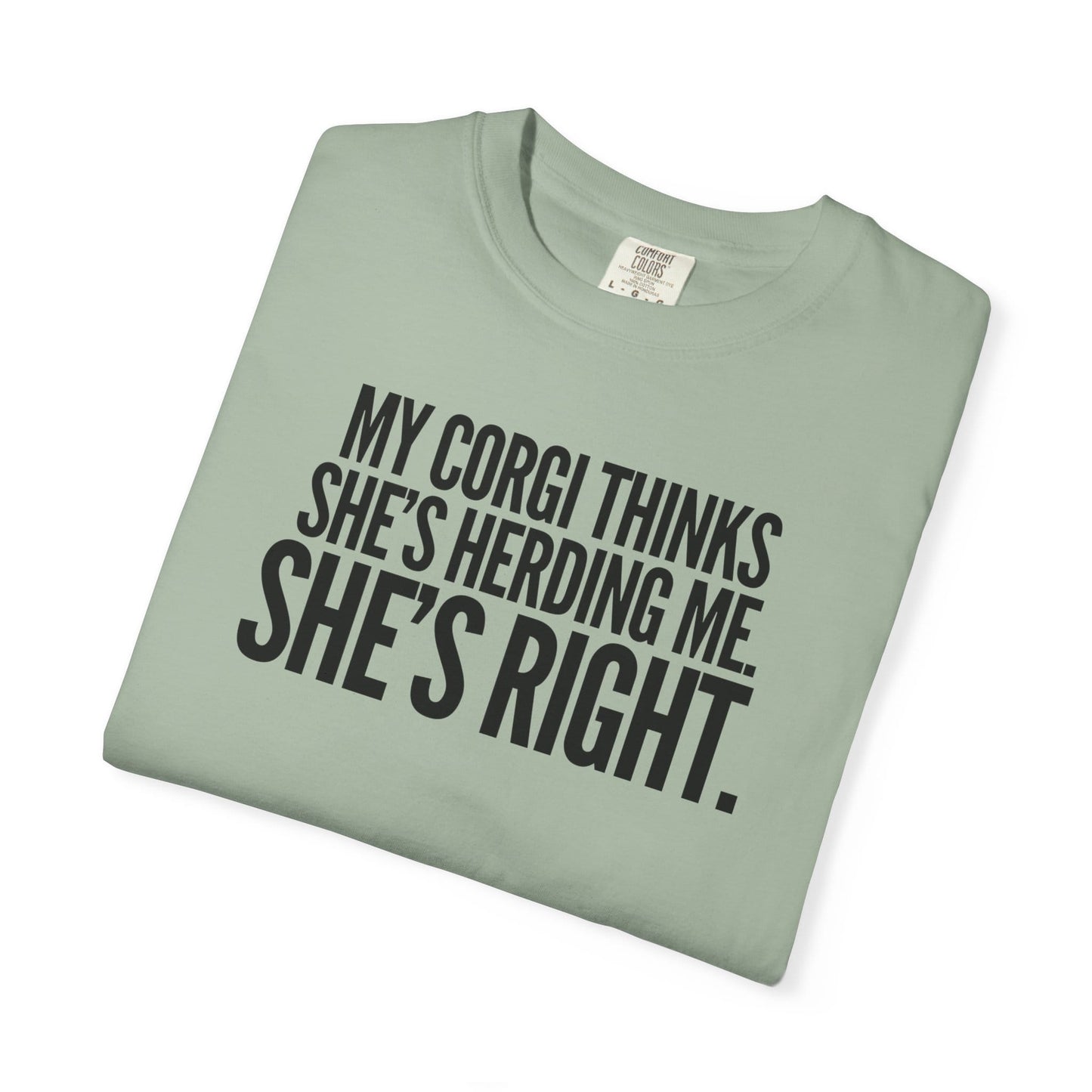 My Corgi Thinks She's Herding Me, She's Right T-Shirt