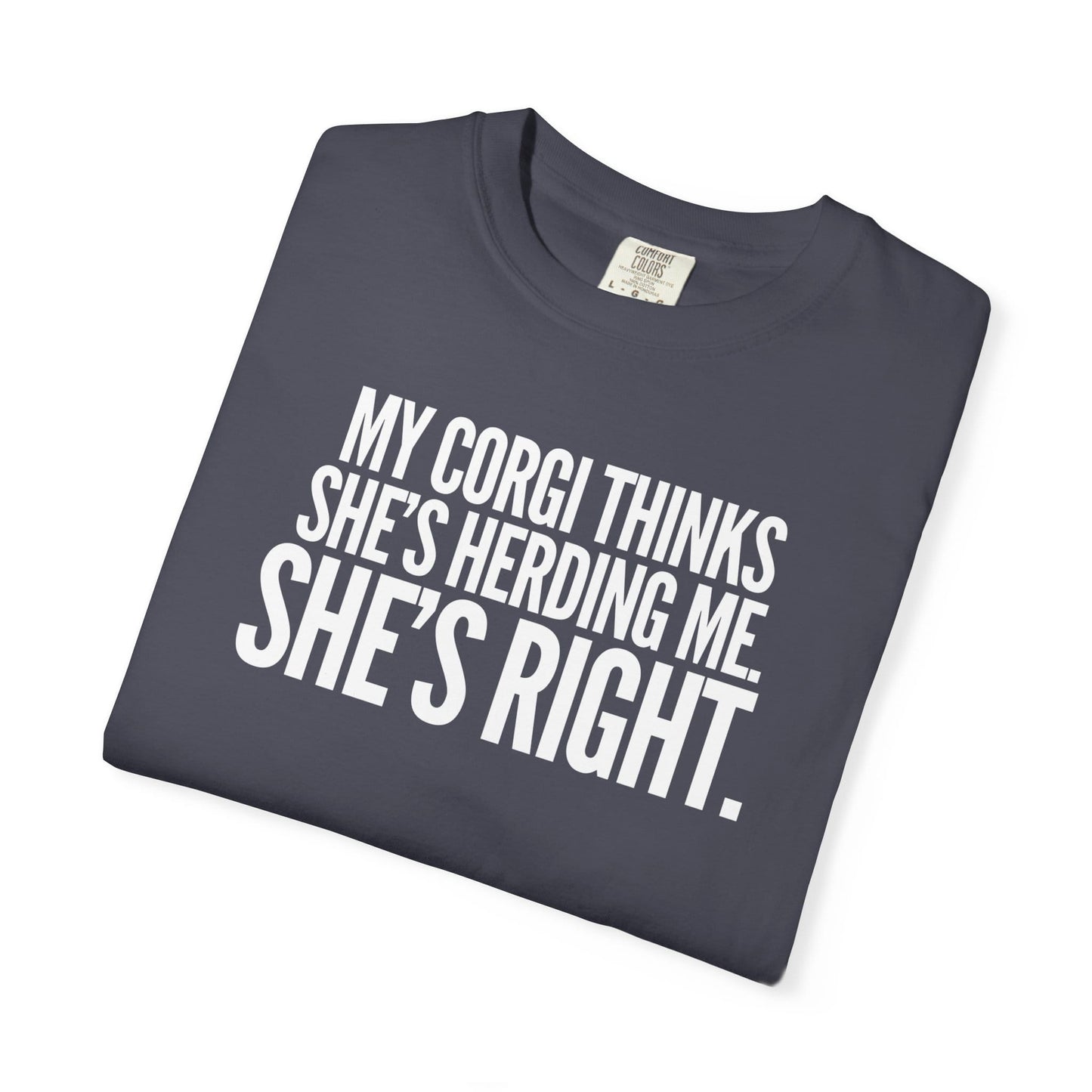 My Corgi Thinks She's Herding Me, She's Right T-Shirt