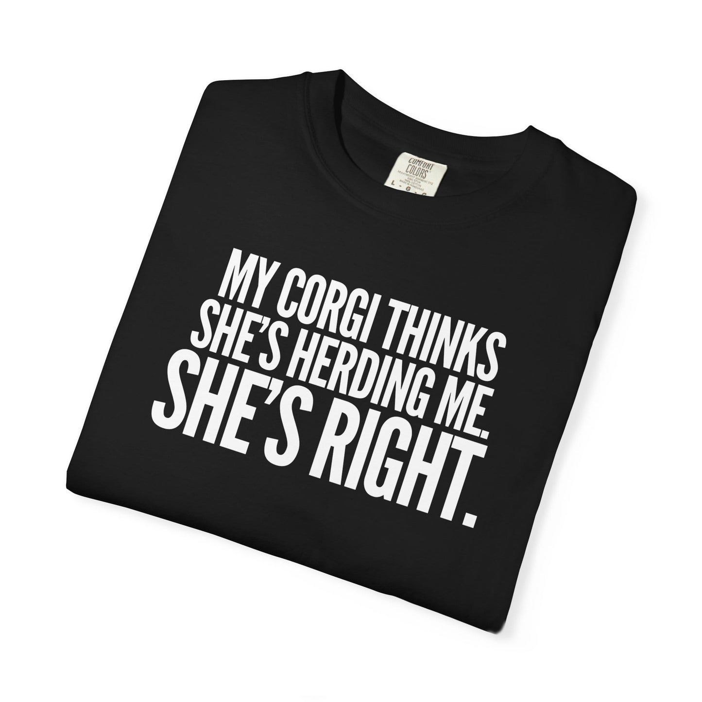 My Corgi Thinks She's Herding Me, She's Right T-Shirt