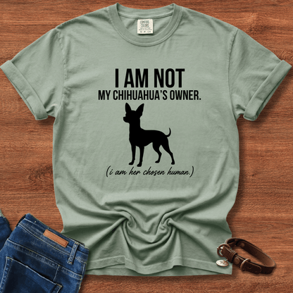 I Am Not My Chihuahua's Owner, I Am Her Chosen Human T-Shirt