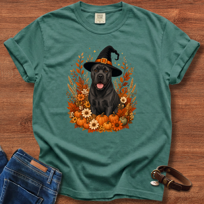 Cane Corso Halloween Witch Dog T-Shirt